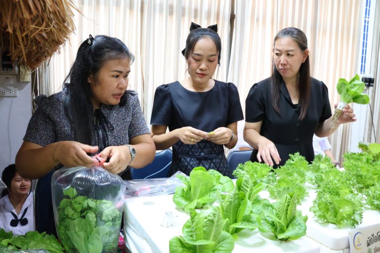 LINE_ALBUM_v.2_260224_6